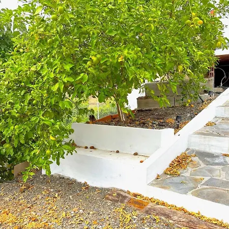 Semesterbostad Evans Realty Ci Piscina Climatizada Bbq Juegos